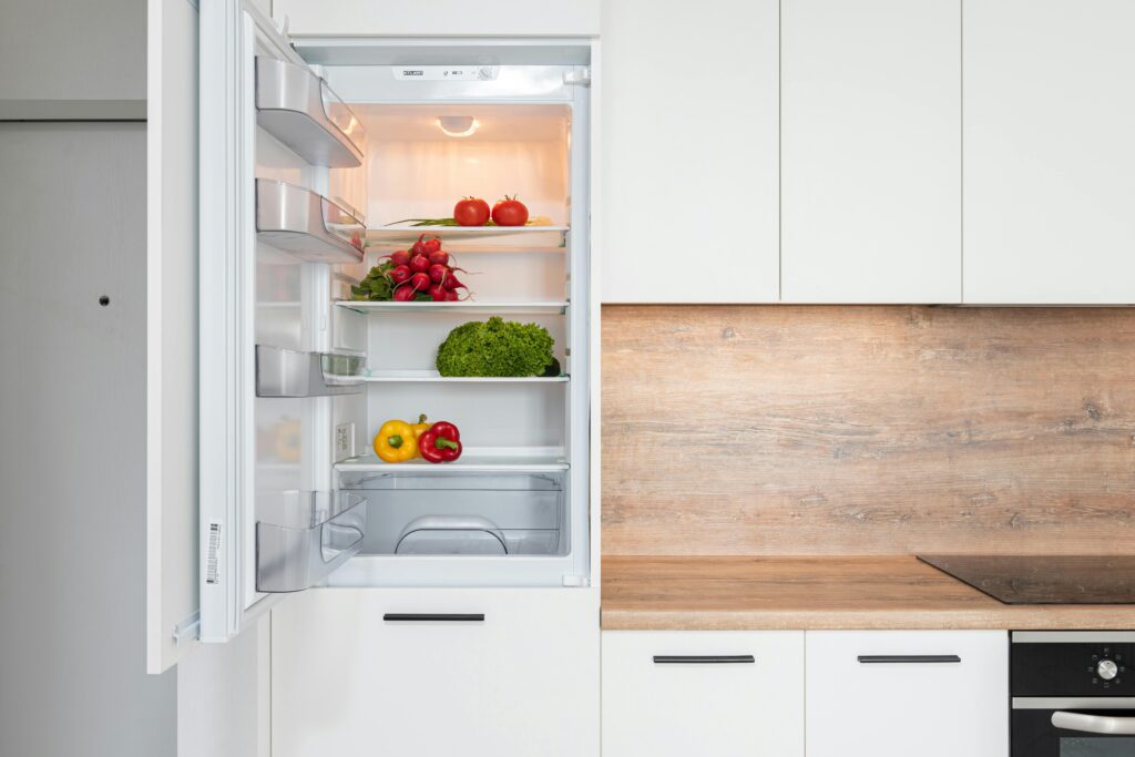 Modern organized refrigerator with fresh food – extend the lifespan of home appliances